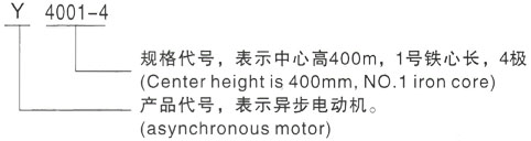 西安泰富西玛Y系列(H355-1000)高压YKK450-4B三相异步电机型号说明